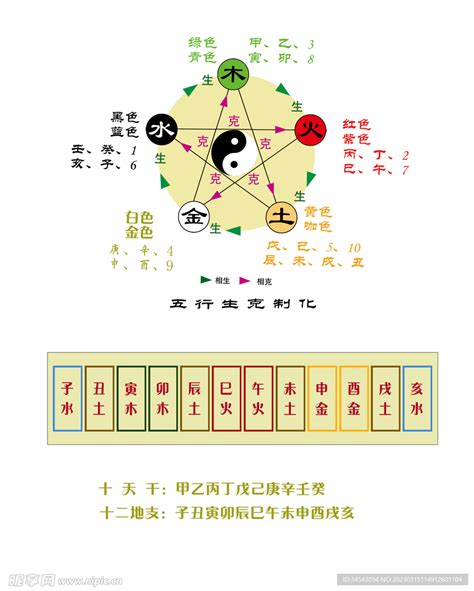 天干 地支 五行|天干地支五行对照表图 阴阳五行